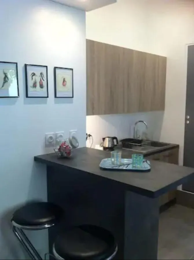 Apartment Le Petit Domer -Metro Garibaldi-Universite Lyon